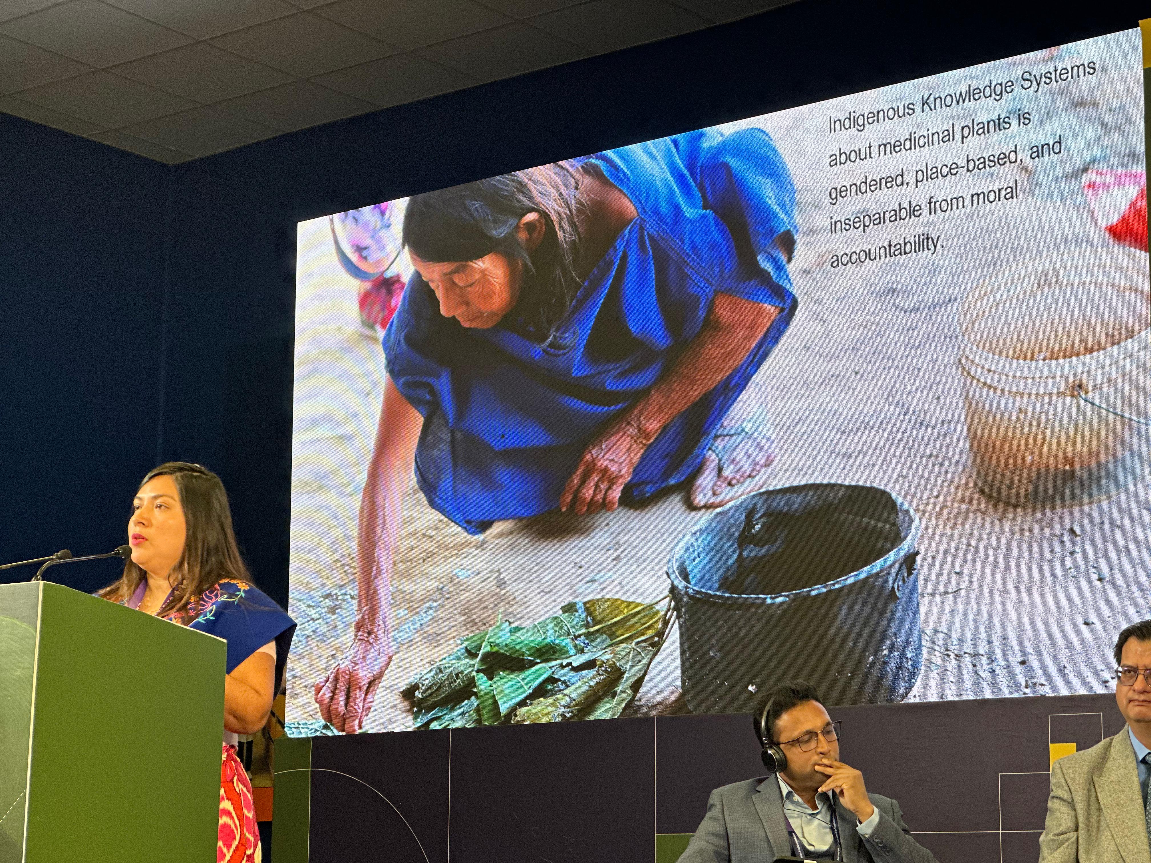 We participated in a panel on ethics in traditional medicine at the WHO II Summit in New Delhi. 